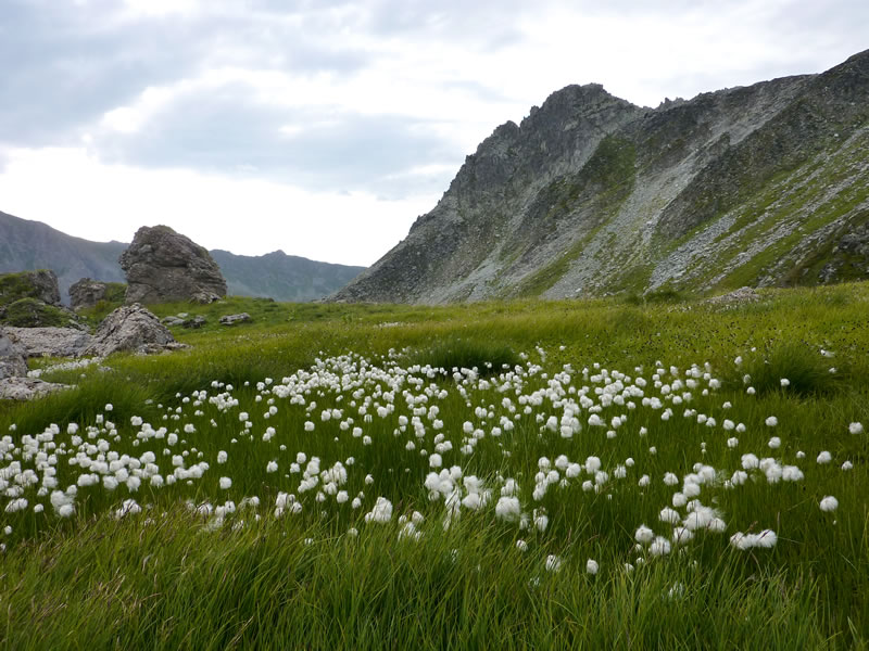 la-balme-ete-0031