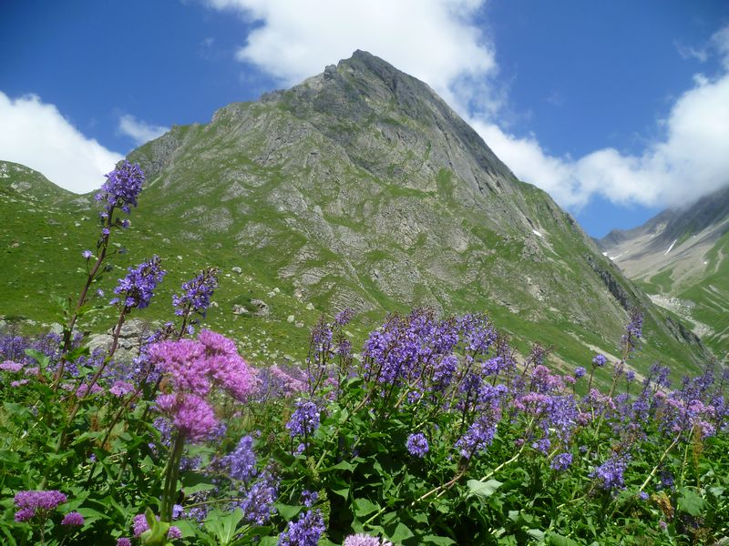 refuge-la-balme-ete-2013-018