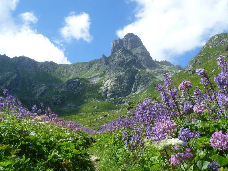 refuge-la-balme-ete-2013-019