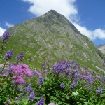 refuge-la-balme-ete-2013-018