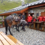 refuge-la-balme-ete-2014-011