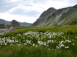 Randonnée à partir du Refuge de La Balme